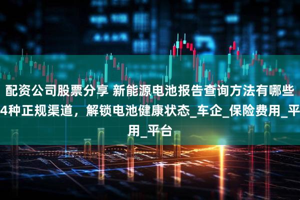 配资公司股票分享 新能源电池报告查询方法有哪些？4种正规渠道，解锁电池健康状态_车企_保险费用_平台
