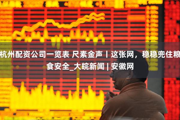 杭州配资公司一览表 尺素金声丨这张网，稳稳兜住粮食安全_大皖新闻 | 安徽网
