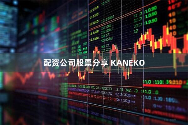 配资公司股票分享 KANEKO